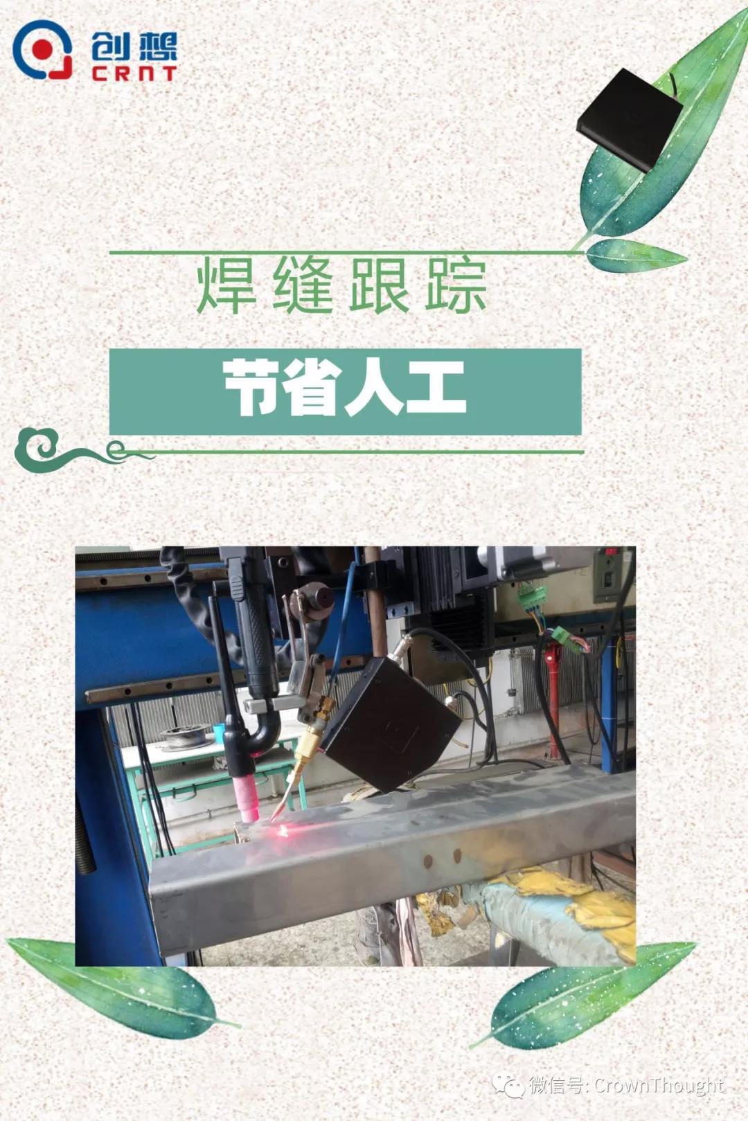 粽葉帶來的不僅僅是粽子，還有...